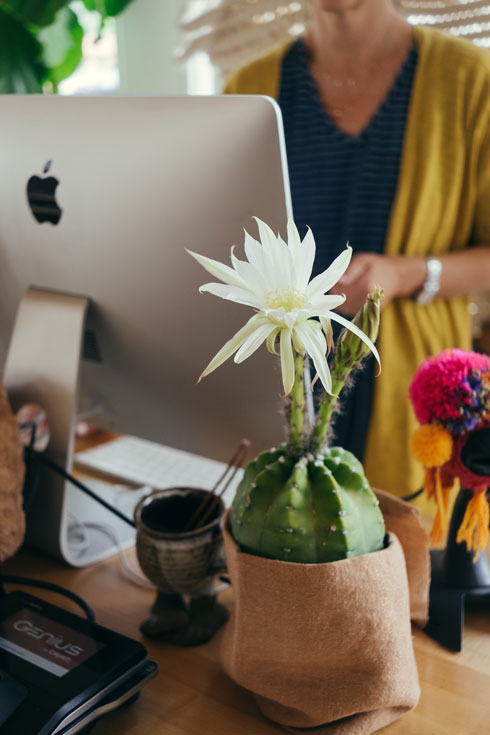 Sensitivity Training - Woman at a desk with a flower